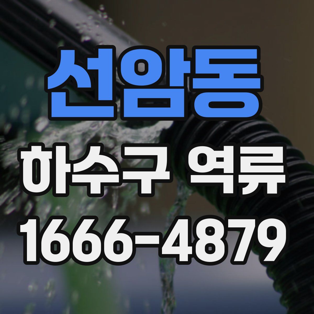 선암동 하수구 역류