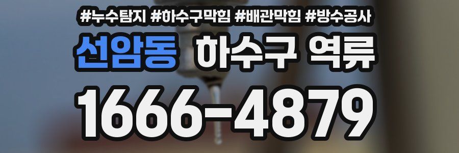 선암동 하수구 역류