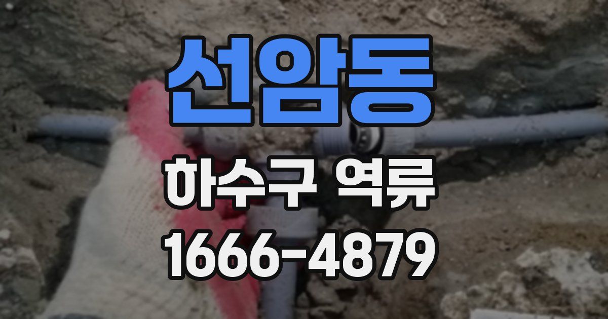 선암동 하수구 역류