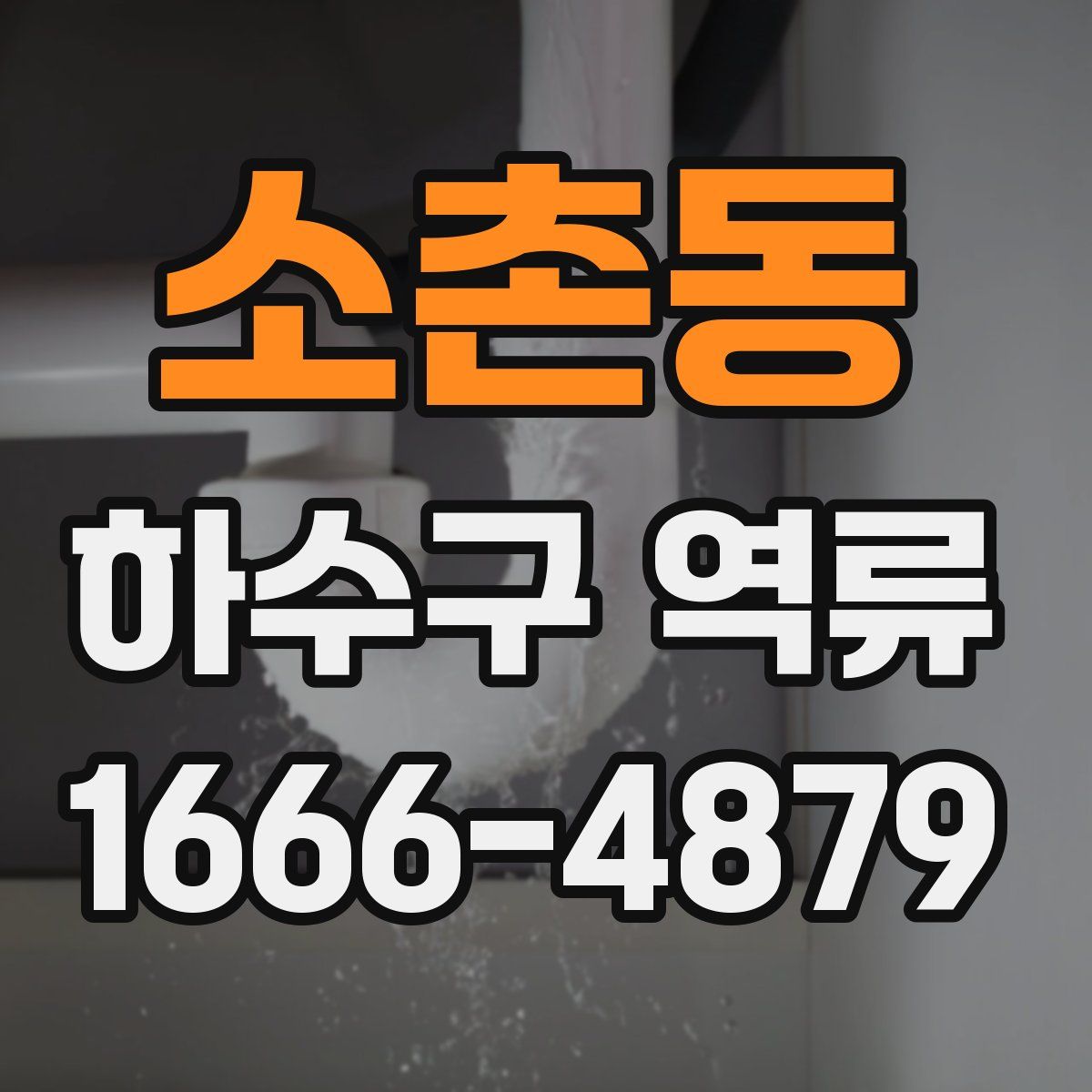 소촌동 하수구 역류