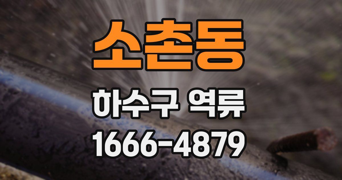 소촌동 하수구 역류