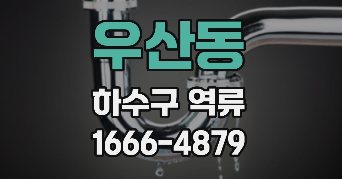 우산동 하수구 역류