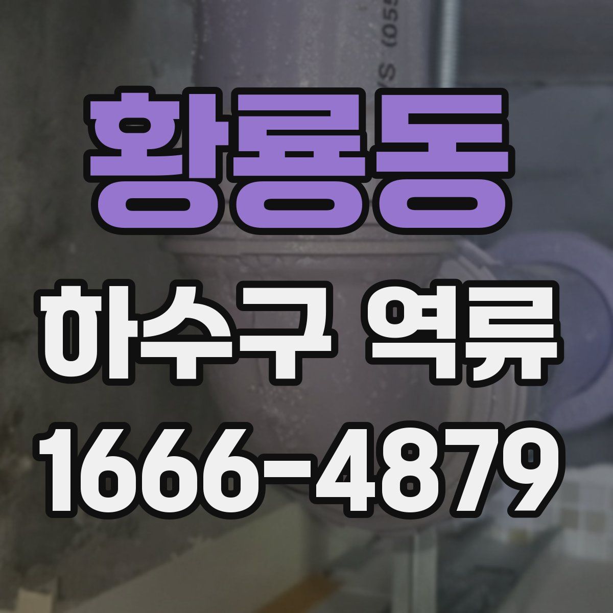 황룡동 하수구 역류