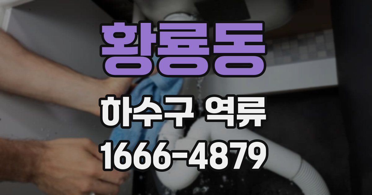 황룡동 하수구 역류