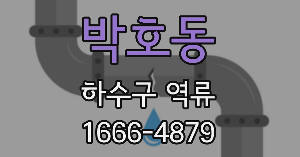 박호동 하수구 역류