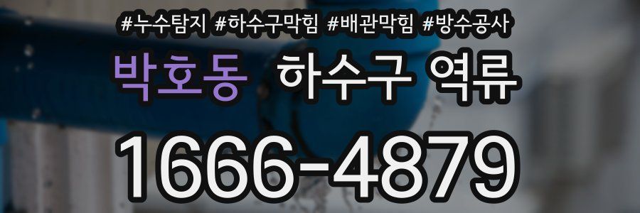 박호동 하수구 역류