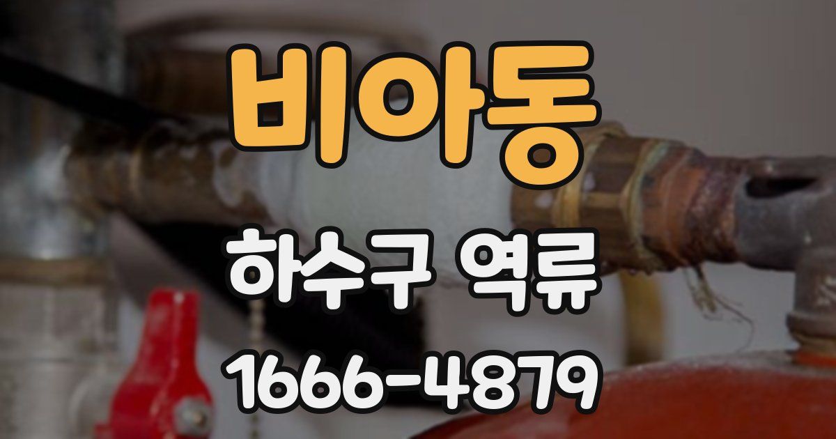 비아동 하수구 역류