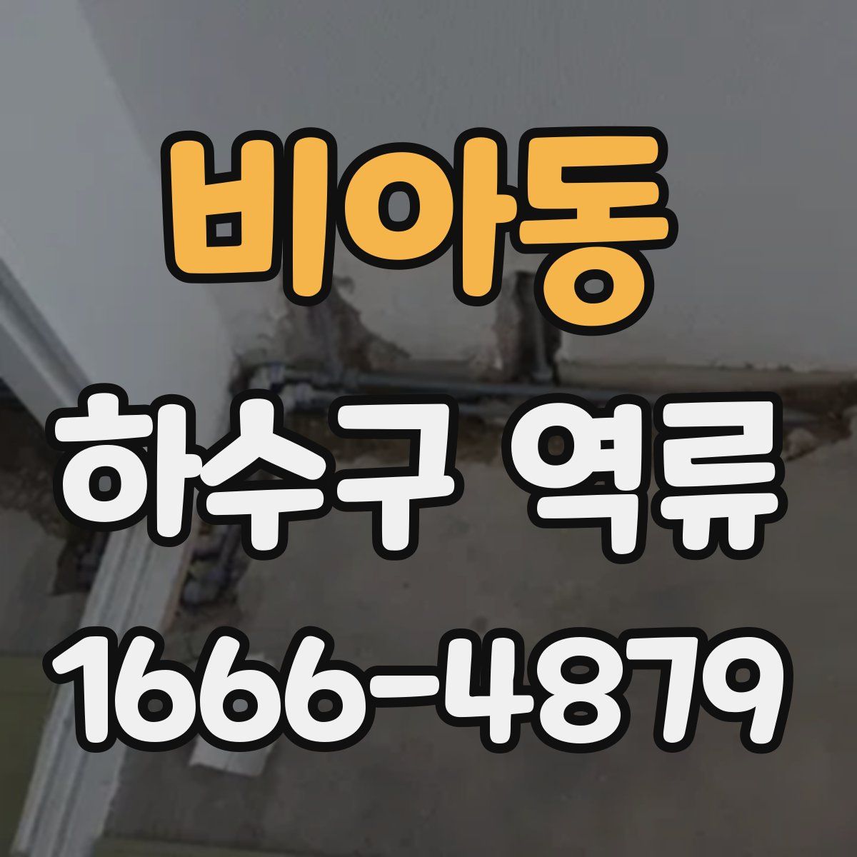 비아동 하수구 역류