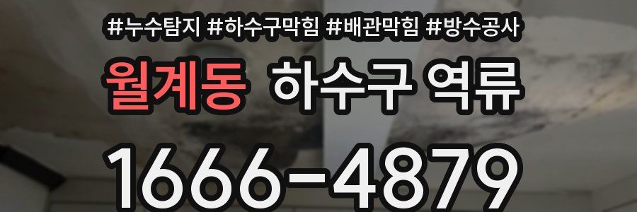월계동 하수구 역류