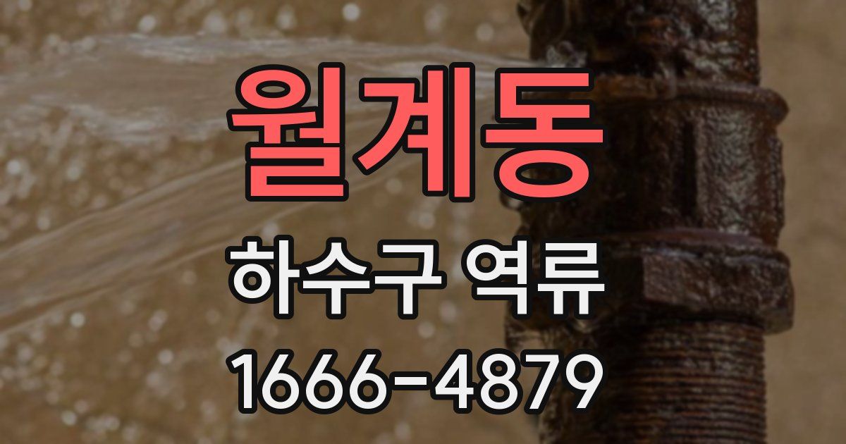 월계동 하수구 역류