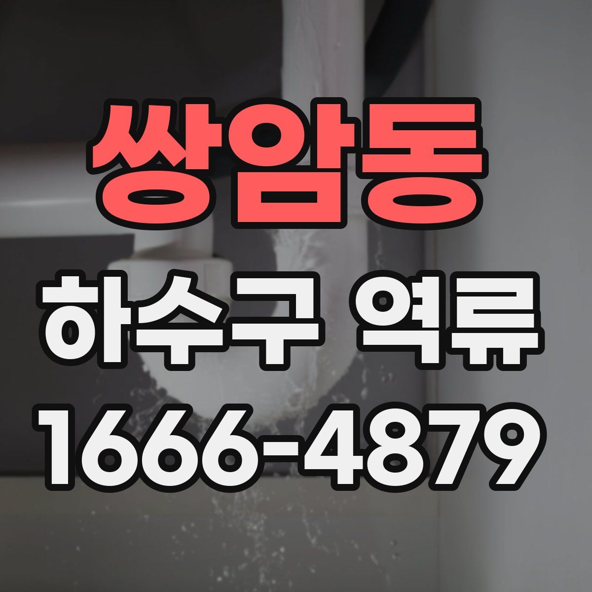 쌍암동 하수구 역류