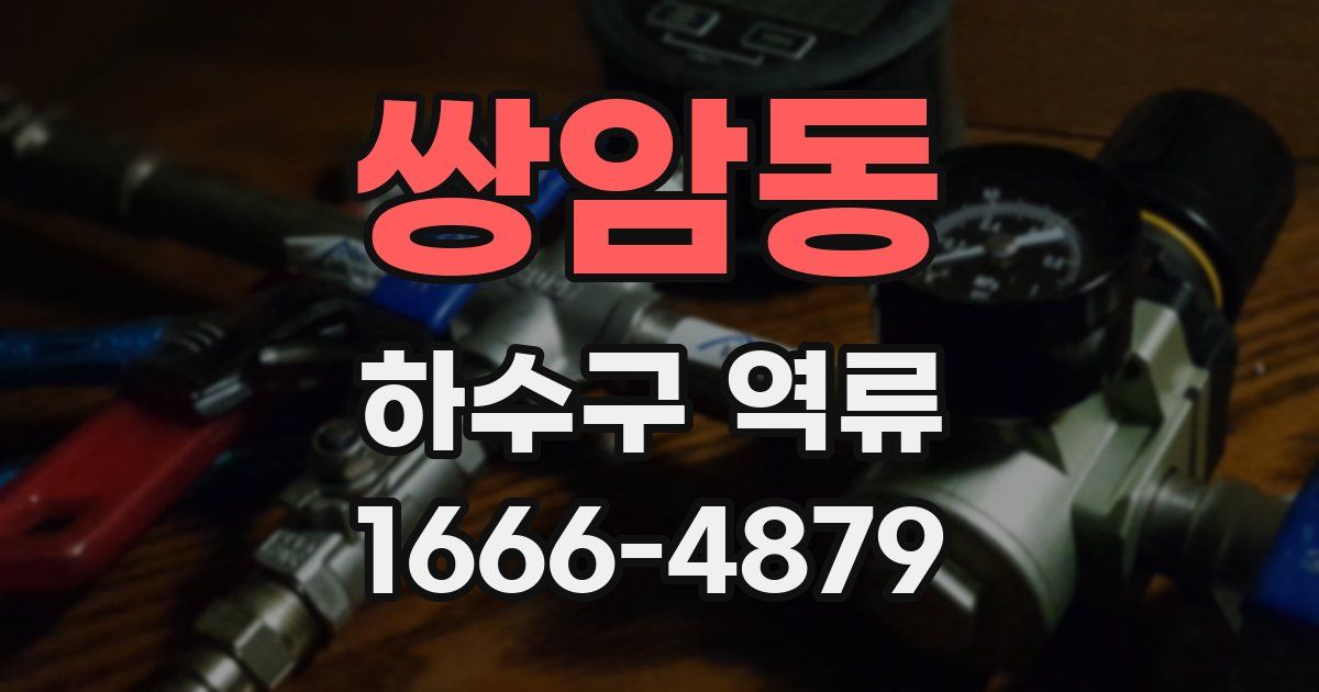 쌍암동 하수구 역류