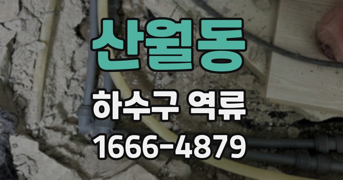 산월동 하수구 역류