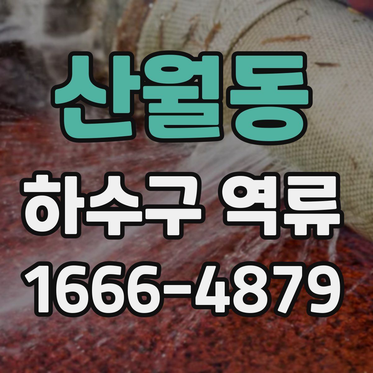 산월동 하수구 역류