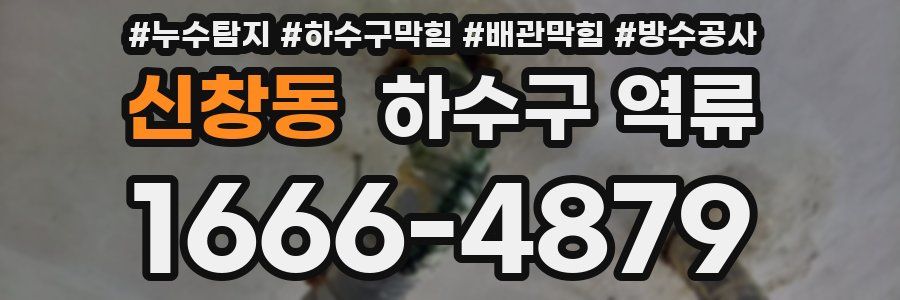 신창동 하수구 역류