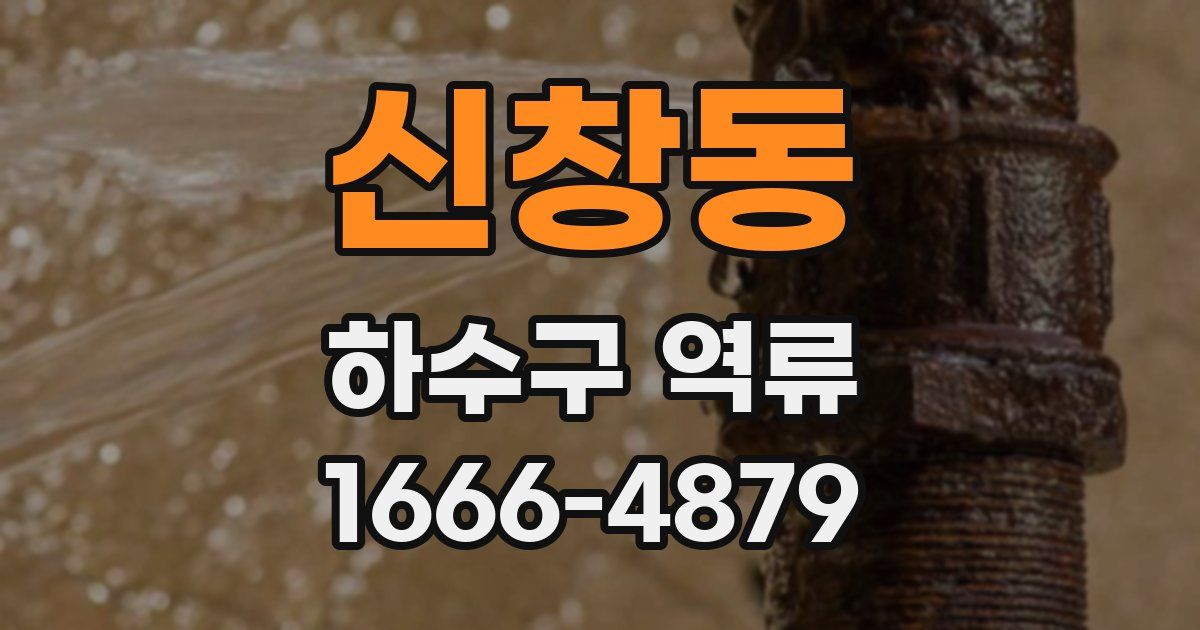 신창동 하수구 역류