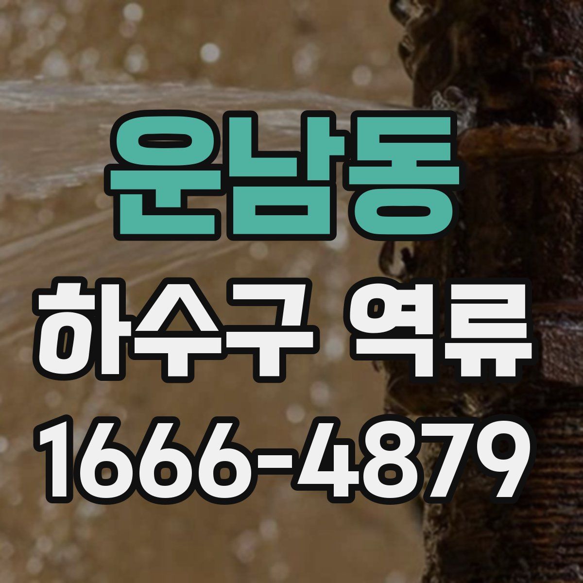 운남동 하수구 역류