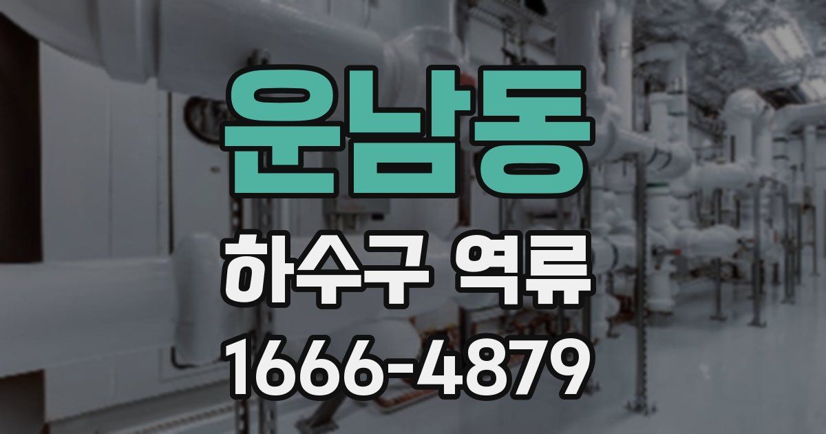 운남동 하수구 역류