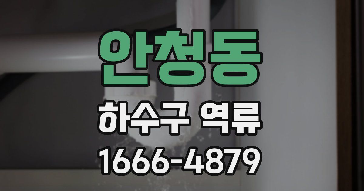 안청동 하수구 역류