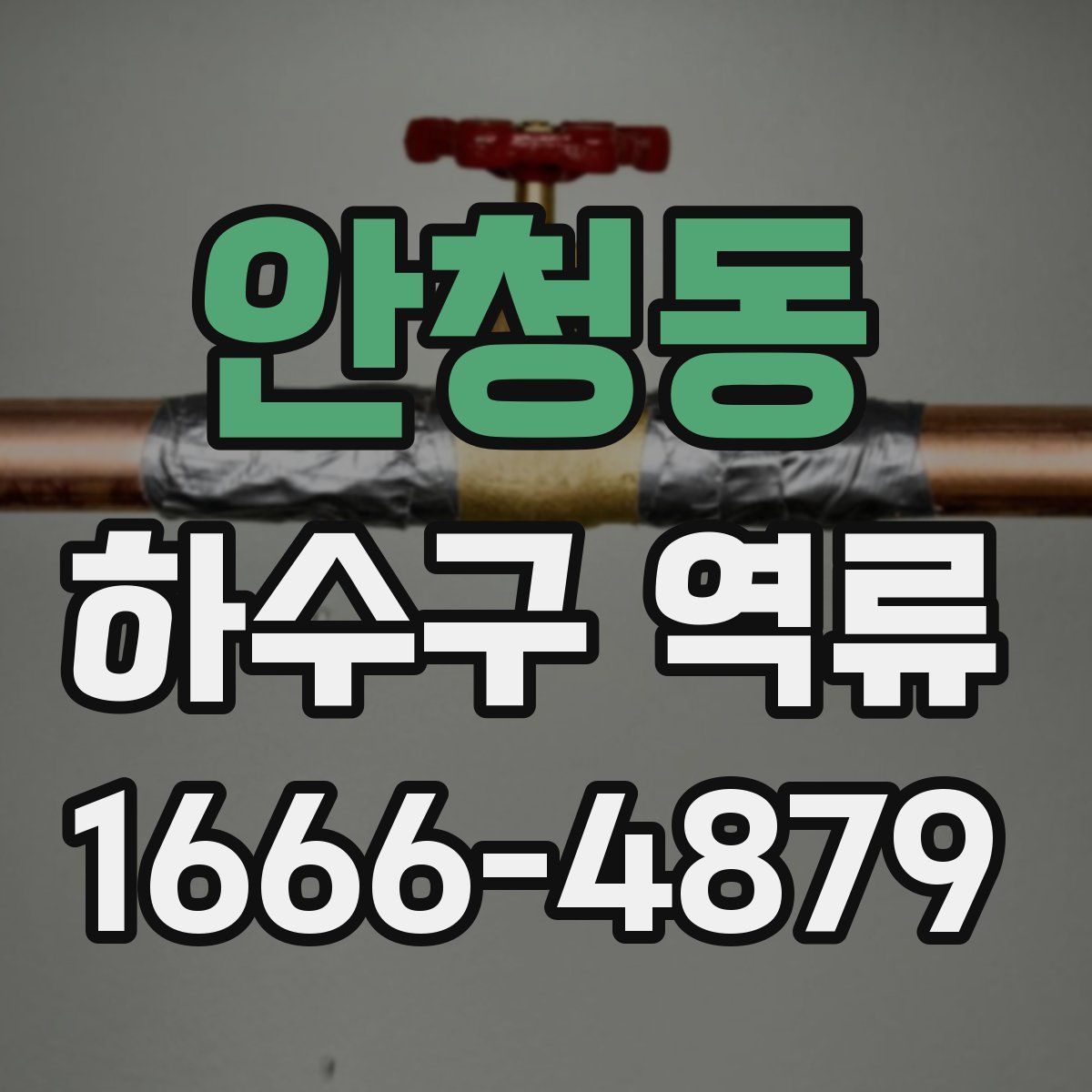 안청동 하수구 역류