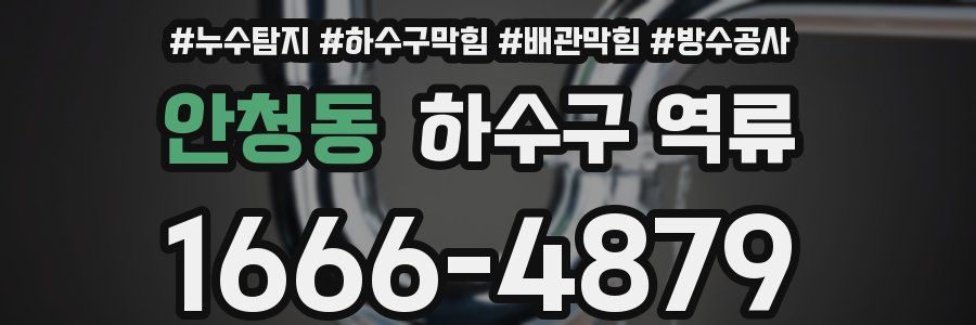 안청동 하수구 역류