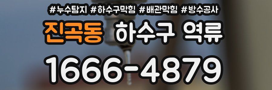 진곡동 하수구 역류