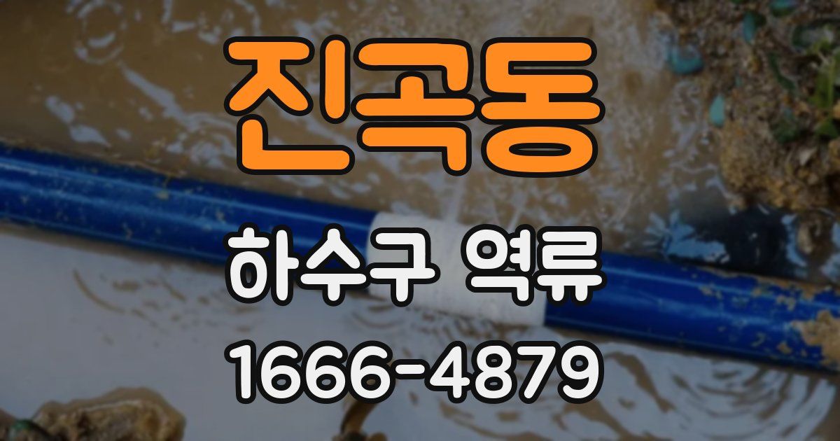 진곡동 하수구 역류