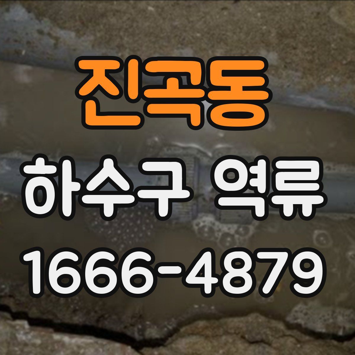 진곡동 하수구 역류