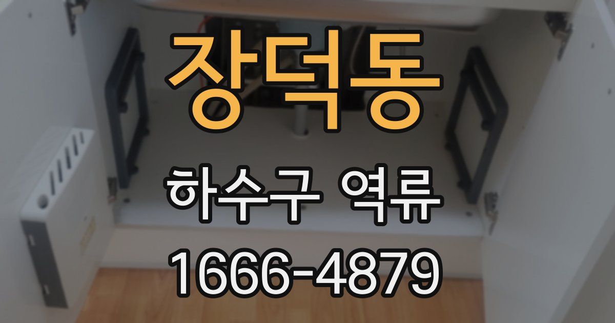 장덕동 하수구 역류