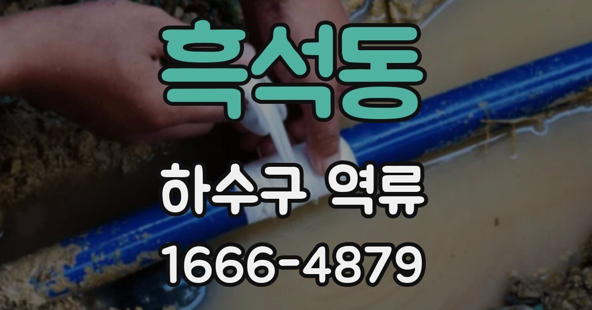 흑석동 하수구 역류