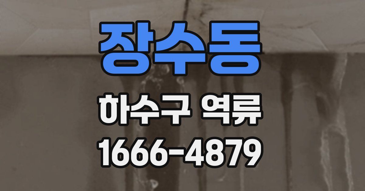 장수동 하수구 역류