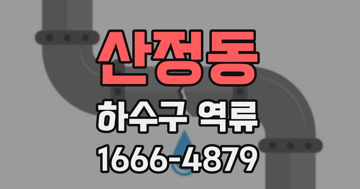 산정동 하수구 역류
