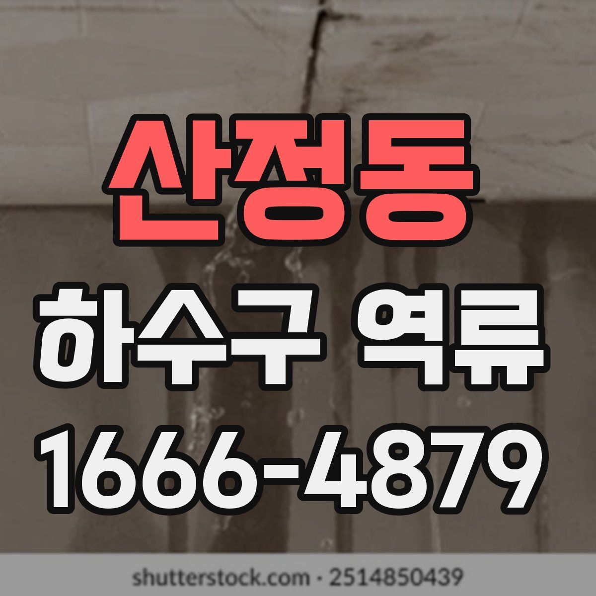 산정동 하수구 역류