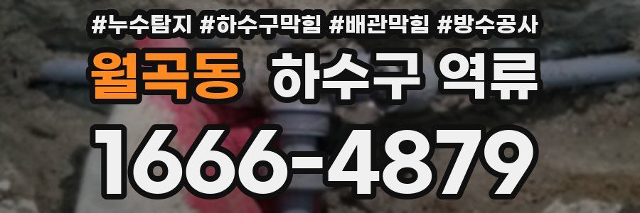 월곡동 하수구 역류