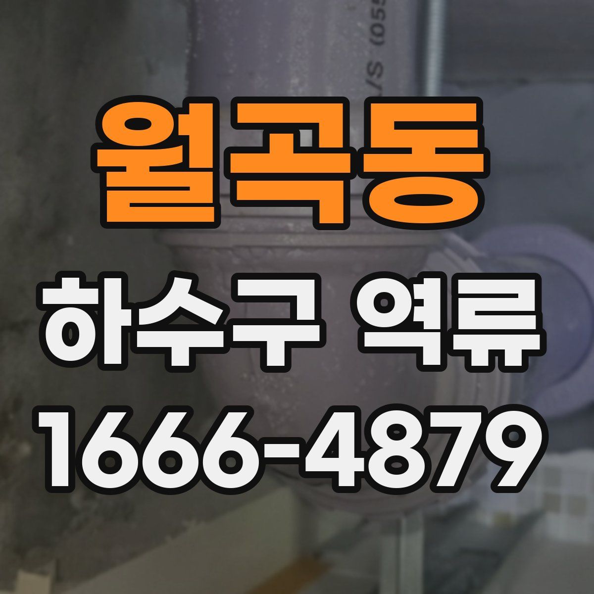 월곡동 하수구 역류