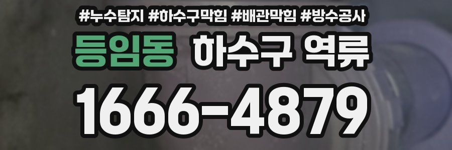 등임동 하수구 역류