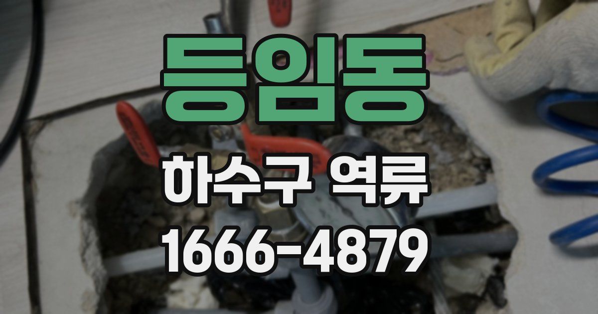 등임동 하수구 역류