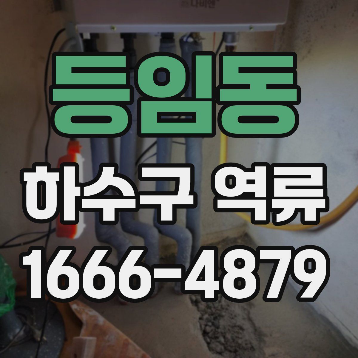 등임동 하수구 역류