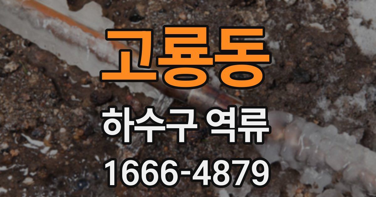 고룡동 하수구 역류