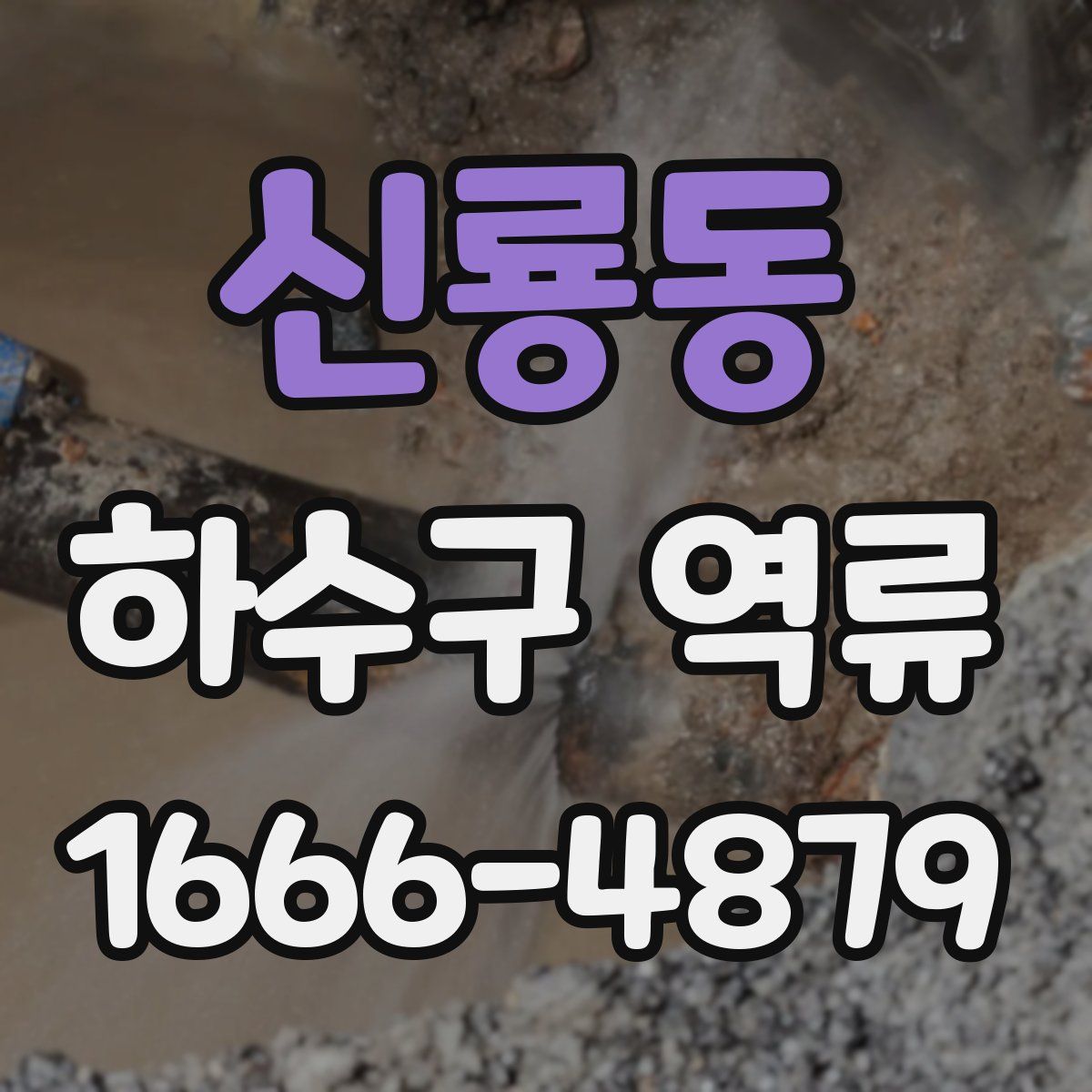 신룡동 하수구 역류