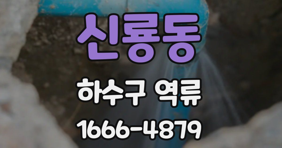 신룡동 하수구 역류