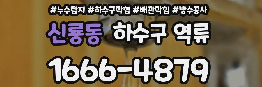 신룡동 하수구 역류