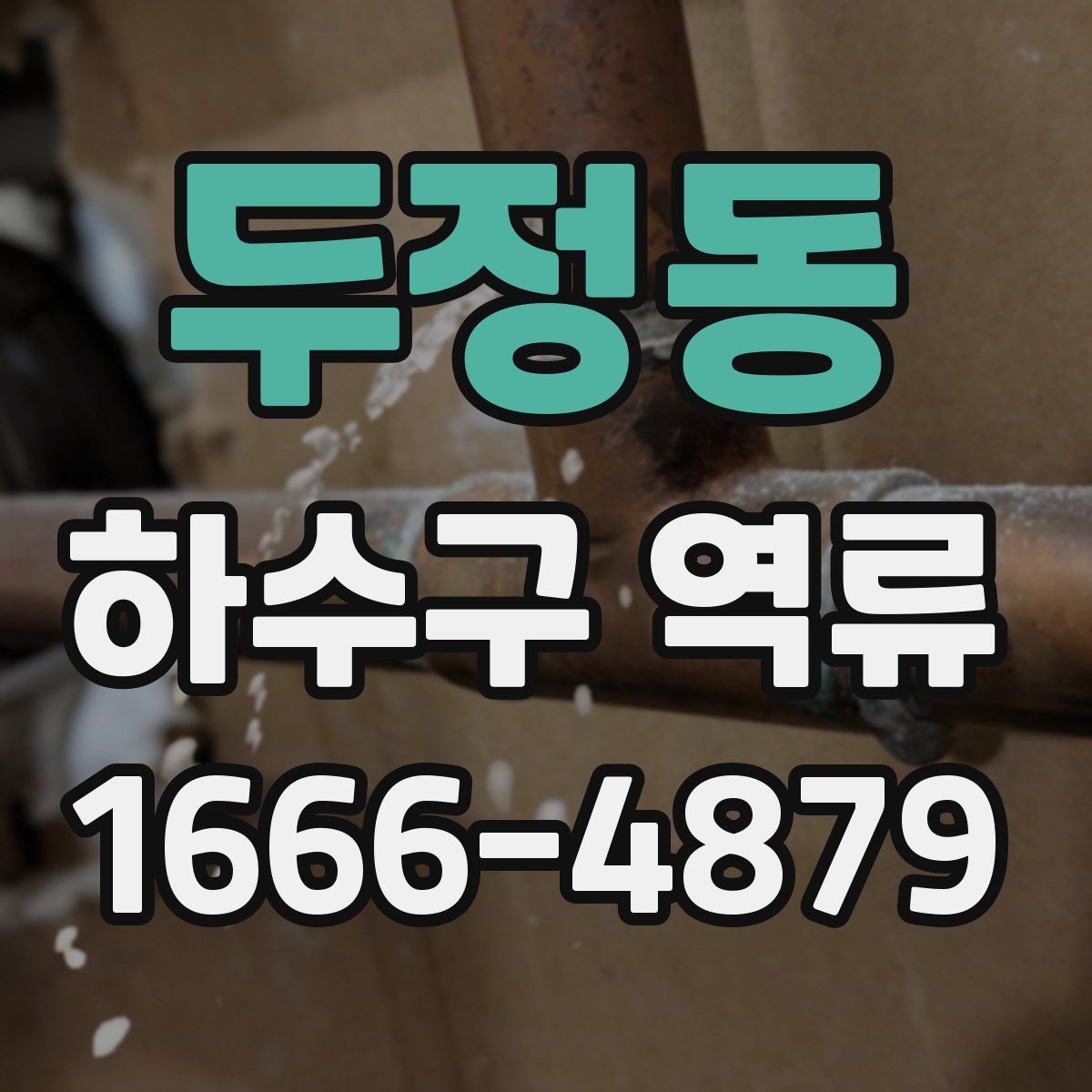 두정동 하수구 역류
