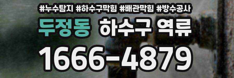두정동 하수구 역류