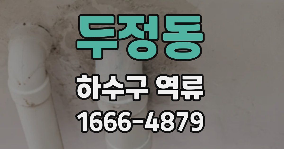 두정동 하수구 역류