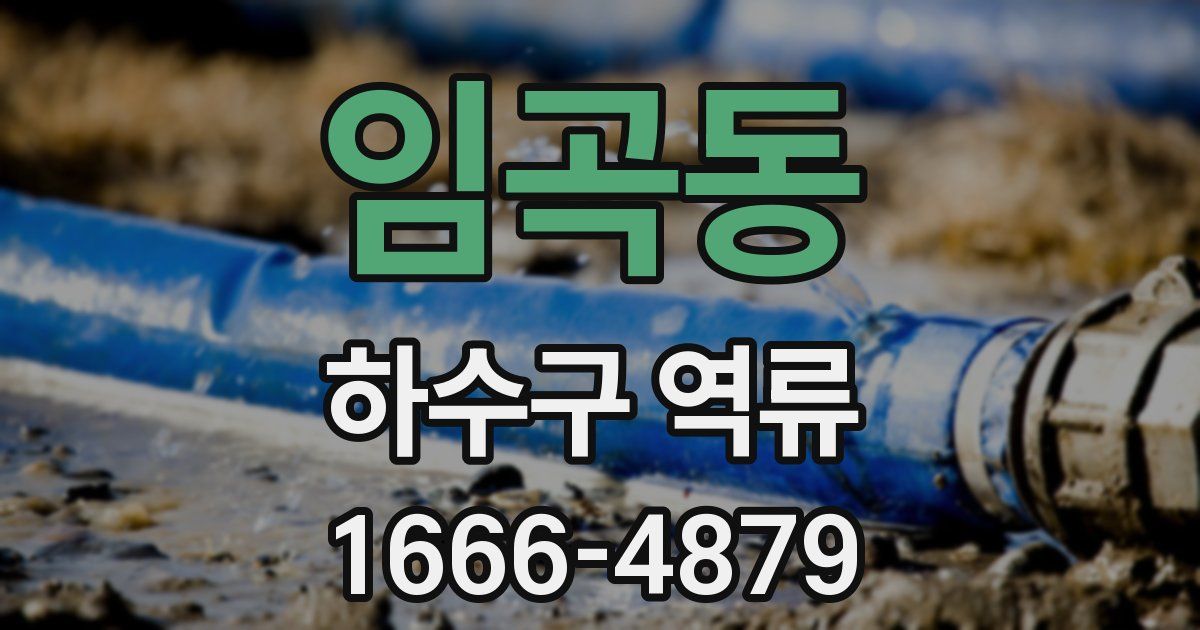 임곡동 하수구 역류