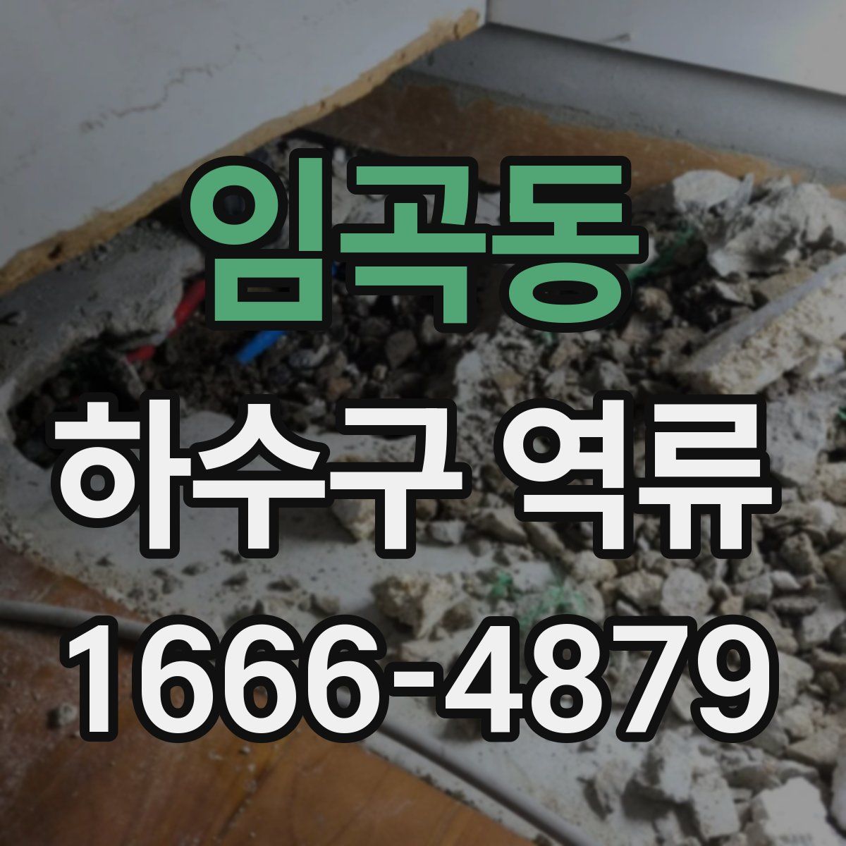 임곡동 하수구 역류