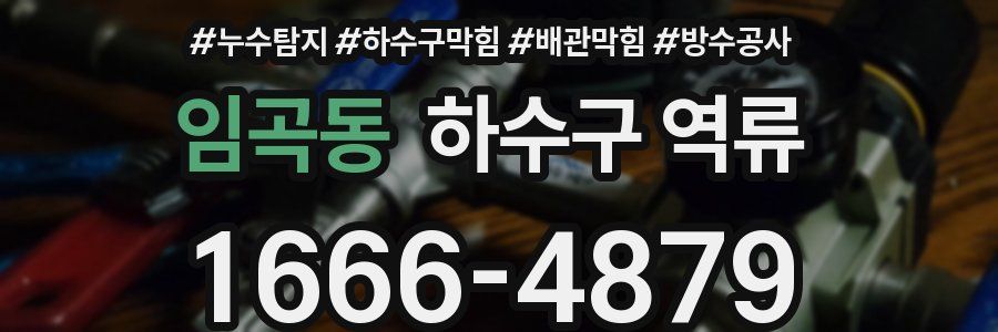 임곡동 하수구 역류