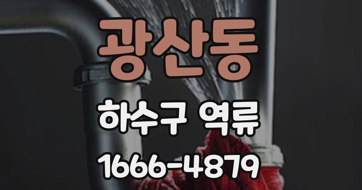 광산동 하수구 역류