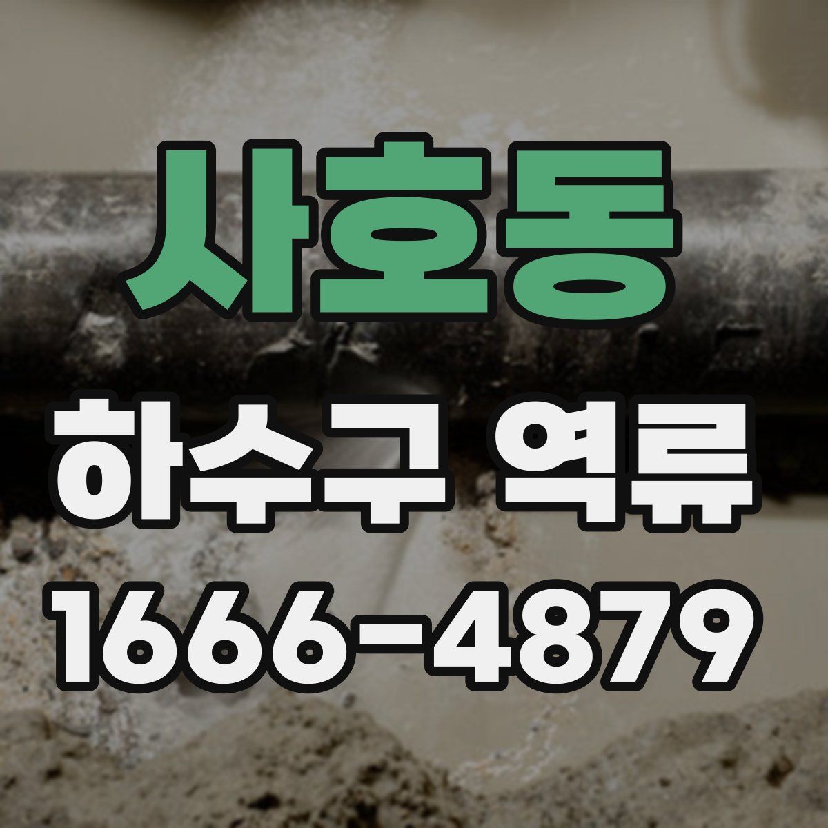 사호동 하수구 역류